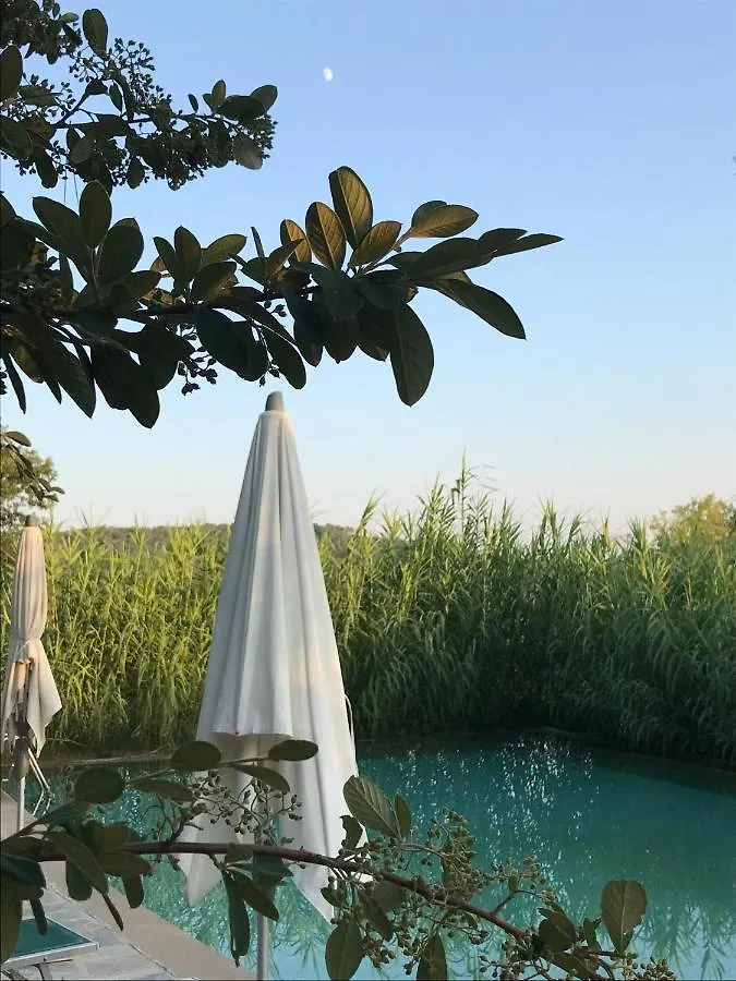 Domaine du Clos d'Alari Saint-Antonin-du-Var France